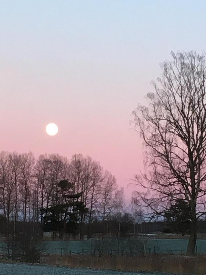 Liten Stuga Mitt I Naturen Pa Kinnekulle Hällekis 외부 사진
